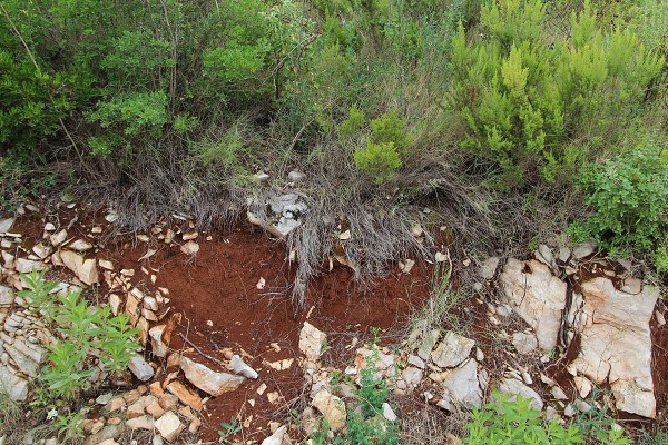 C19621 22-07-2014 Nečujam.jpg